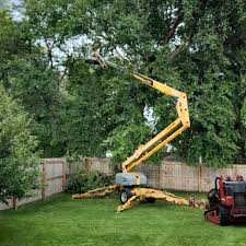 Best Tree Health Inspection  in Kingston Estates, NJ